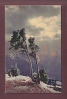 Am RIGI - 1911