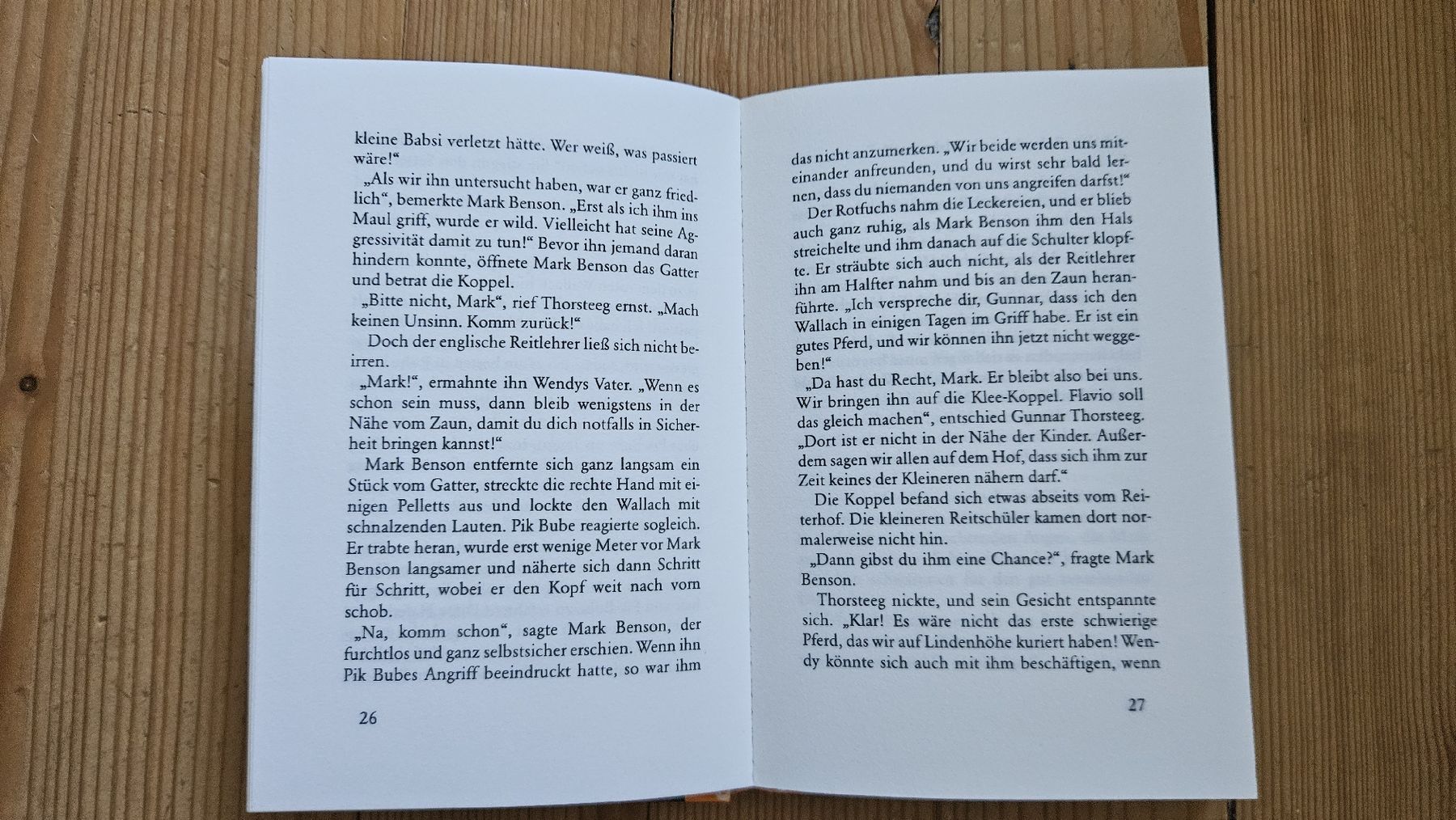 Libri: Wendy - Die Pferdefreundin – Usato da Bern venduto da Snowflake38 1