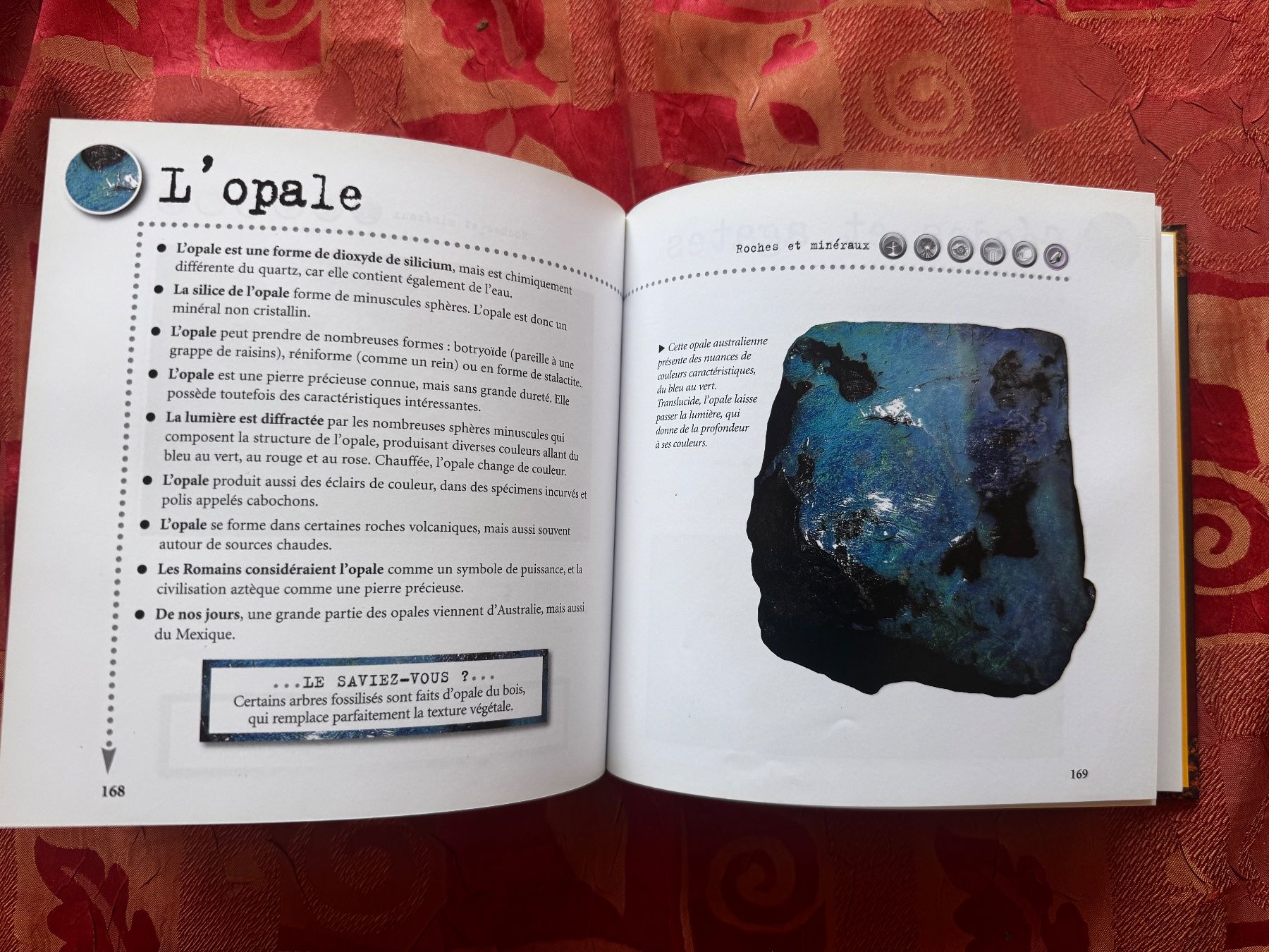 Libri: 1000 infos roches et minéraux – Usato da Ovronnaz venduto da Etagne68 3