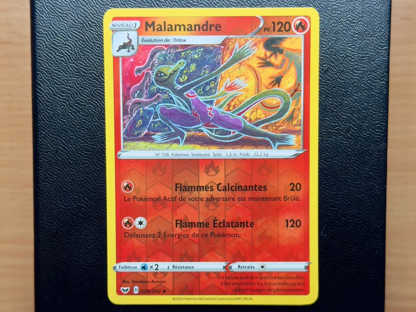 Pokémon Carte collezionabili: Malamandre Reverse (028/202)- Épée et Bouclier - SSH FR EB01 – Usato da Chézard-St-Martin venduto da Kro_Cards