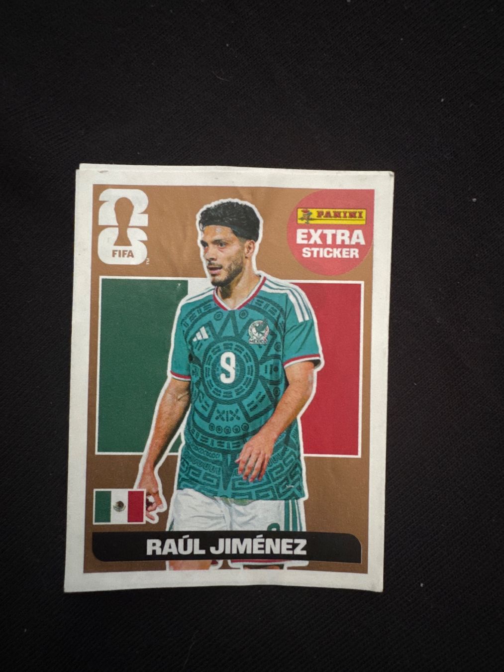 Panini Carte collezionabili: Panini Extra Raul Jimenez – Usato da Effretikon venduto da Z.Bas