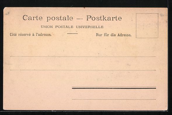 Cartoline postali: AK Schaffhausen, Gesamtansicht – Usato da Berlin venduto da bartko-reher 1