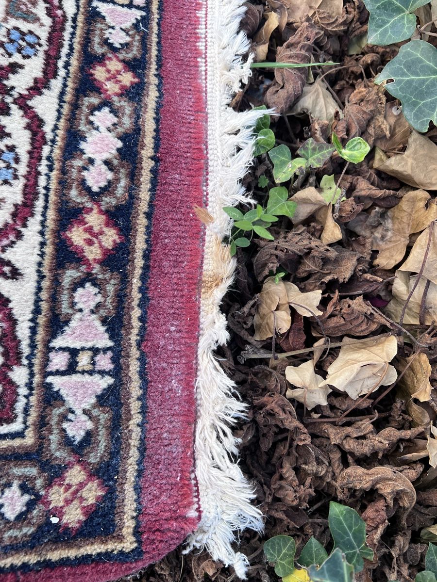Teppiche: Orientteppich (61) – Gebraucht aus Glattfelden von brockischweiz 7