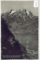Hammetschwand-Bürgenstock - Blick auf Hergiswil und Pilatus