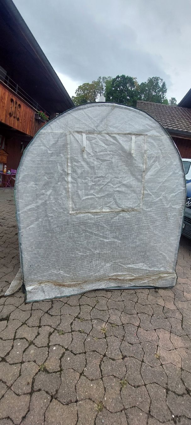Gartenhäuser & Gewächshäuser: Gewächshaus  – Gebraucht aus Konolfingen von tinu1990 2