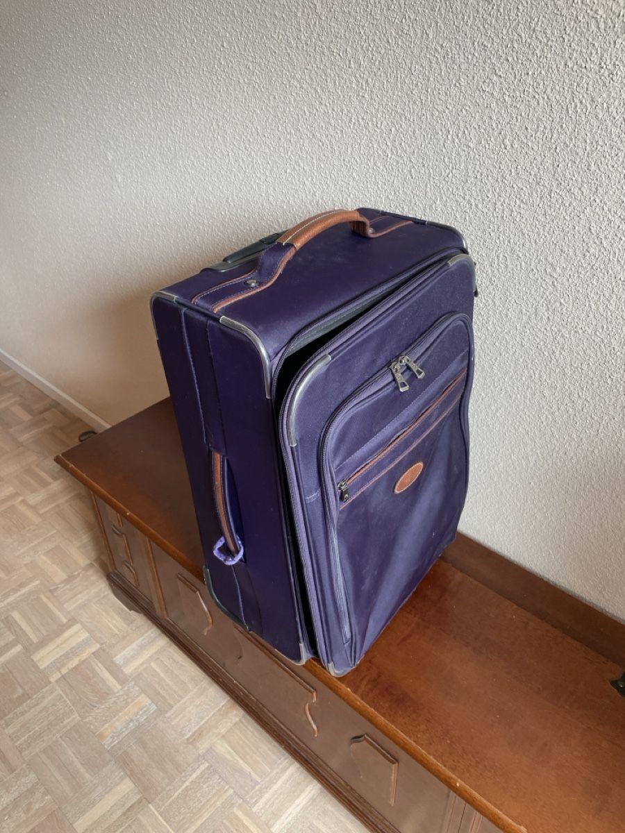 Longchamp Valigie: Valise marque Lonchamp – Usato da Sion venduto da aud_96b6 3
