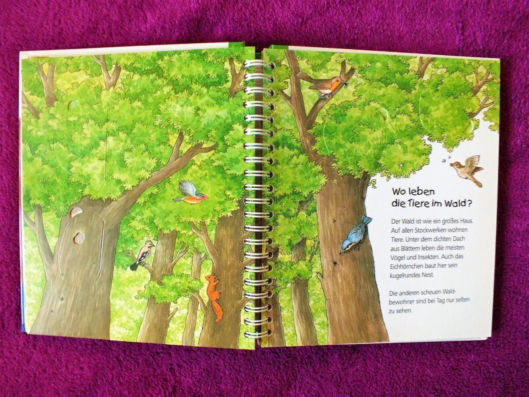 Libri: Wieso Weshalb Warum Junior Buch - Der Wald – Usato da Müllheim Dorf venduto da Seeeule01 3