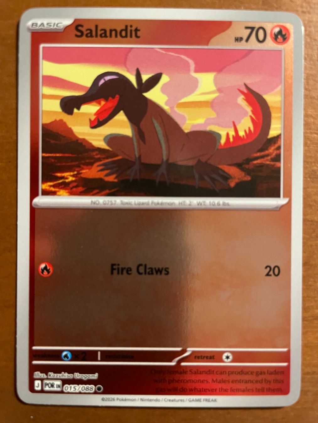 Pokémon Carte collezionabili: Pokemon Salandit Reverse (Versand gratis) – Nuovo (secondo la descrizione) da Chur venduto da Angerson