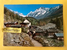 Lötschental, Kühmatt mit Schinhorn