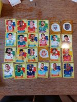 Panini WC 2026 24 stickers