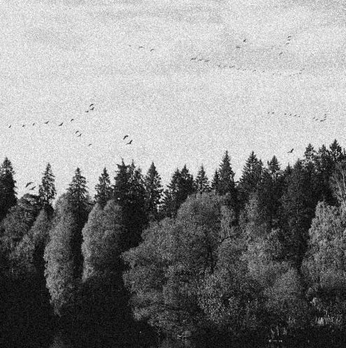 CDs: October falls - A collapse...(Digi) – Neu und originalverpackt aus St-Cergue von VeganWarrior