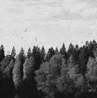 October falls - A collapse...(Digi)
