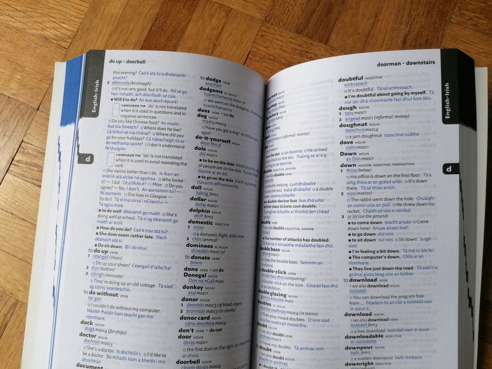 Easy Learning Irish Dictionary (irish-english) (Neu (gemäss ...
