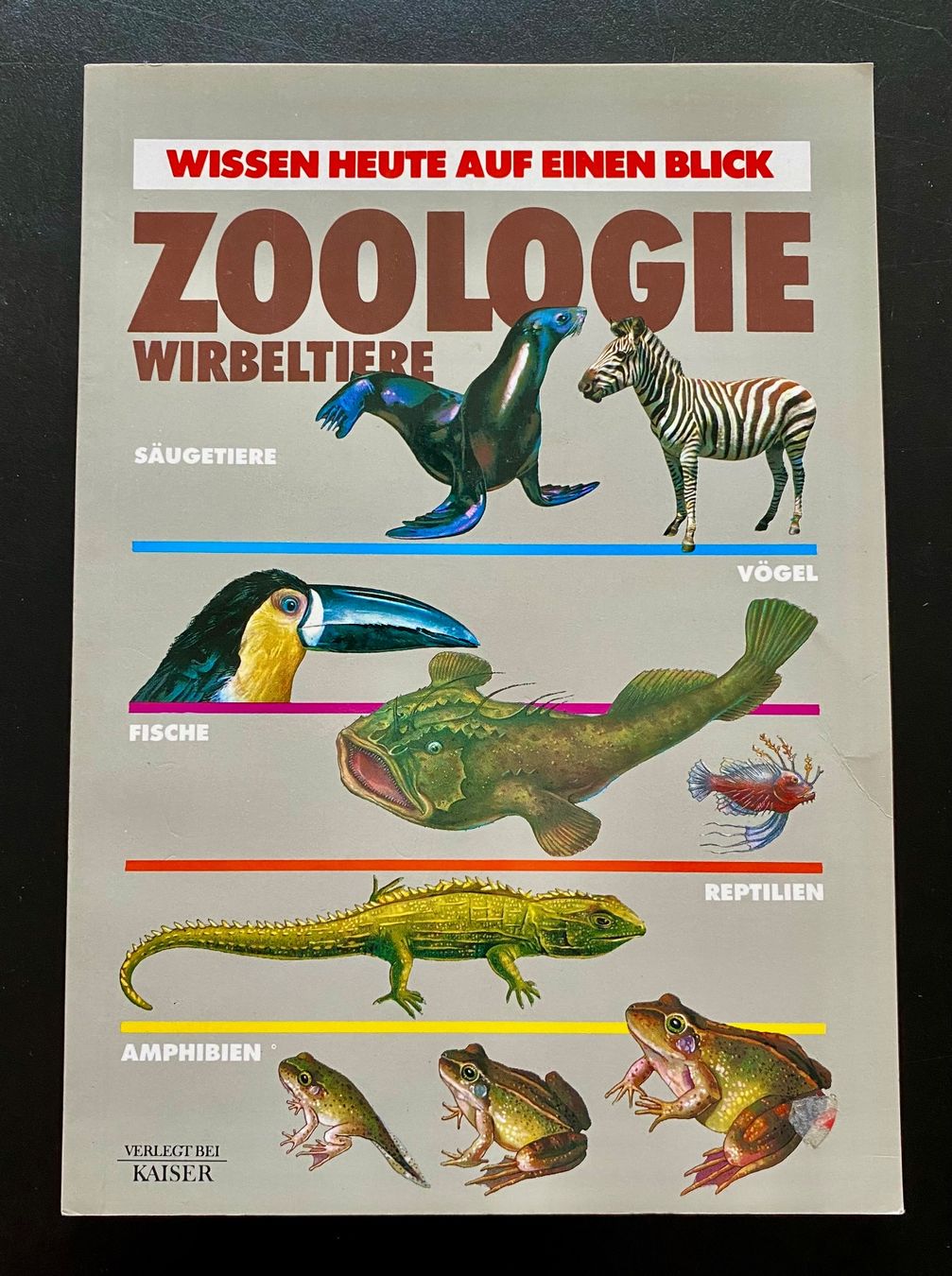 Libri: ZOOLOGIE / WIRBELTIERE – Usato da Nussbaumen AG venduto da schuba2000