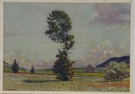 Carl Liner Appenzell, Pro Juventute