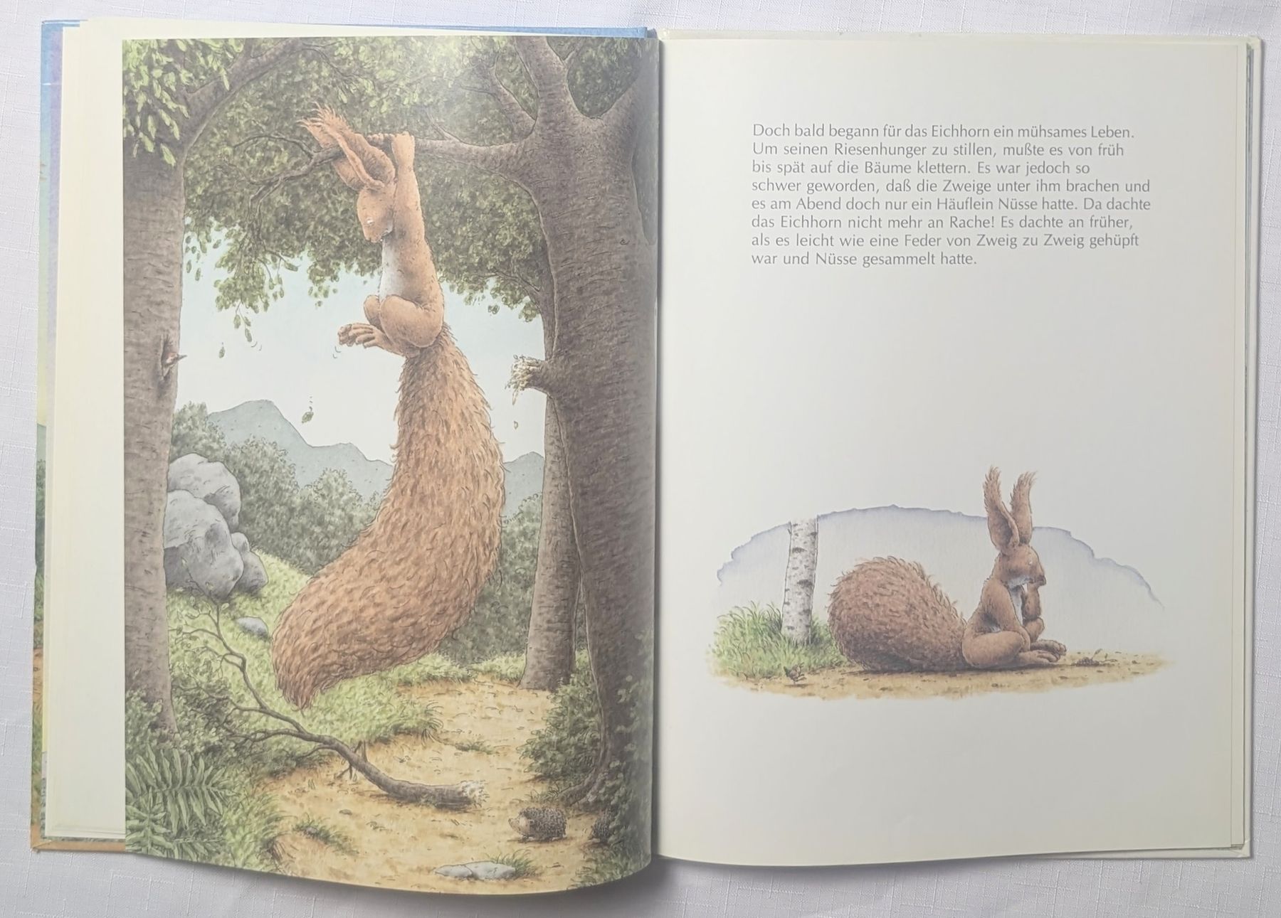 Libri: Das Eichhorn und das Nashörnchen Mischa Damjan Hans de Beer – Nuovo (secondo la descrizione) da Wängi venduto da ABIZONE-86 3