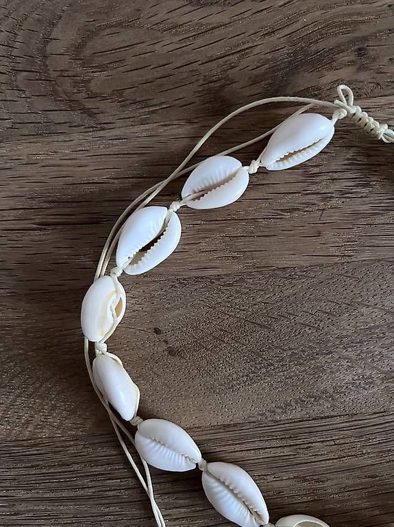Catenine: Muschelkette – Usato da Zollikofen venduto da Ali_p8fy 2