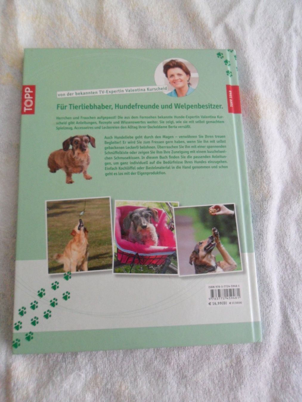 Bücher: Tierisch Kreativ! – Gebraucht aus Dübendorf von Mobu4 1