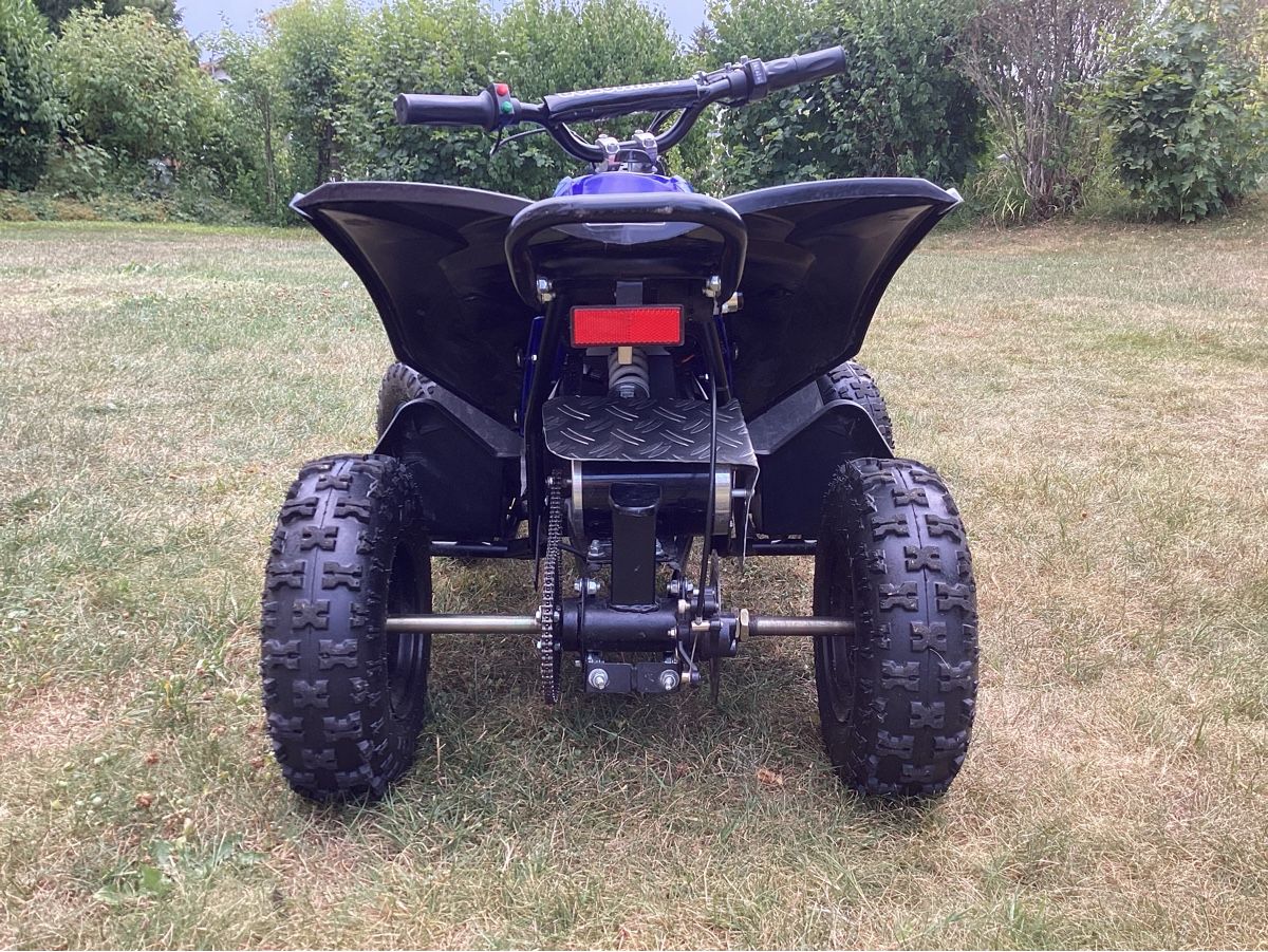 Mini Quad: Kinder Quad 1000 W Elektro – Usato da Abtwil SG venduto da Cougar80 5