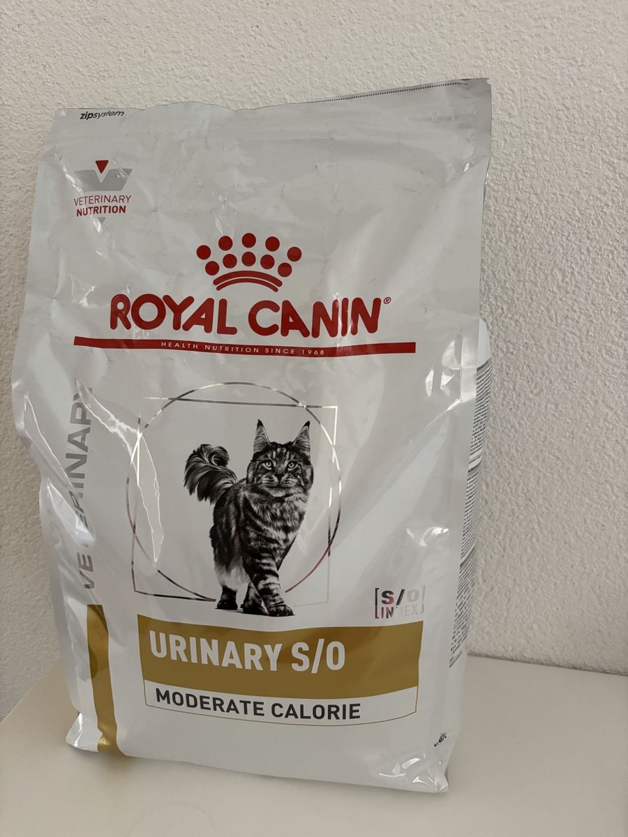 Royal Canin Mangimi: URINARY Trockenfutter Royal Canin & Concept for Life – Usato da Zürich venduto da sihafa