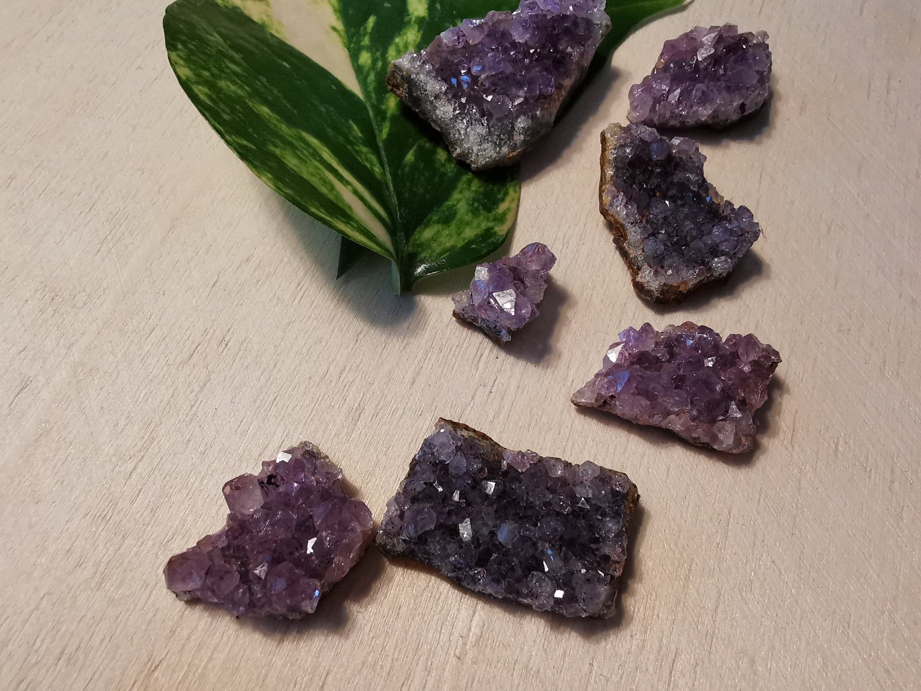 Minerali & Pietre curative: 7 kleine Amethyst Drusen Stücke – Nuovo e nell'imballaggio originale da Dierikon venduto da Buntspecht-10 5