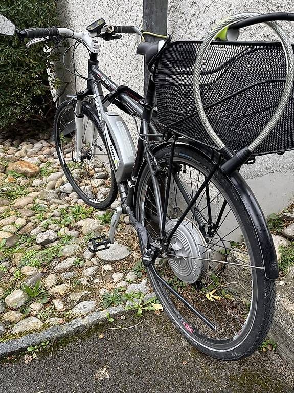 Biciclette: Vélo électrique Bionx – Usato da Pully venduto da lau_7zrf 1