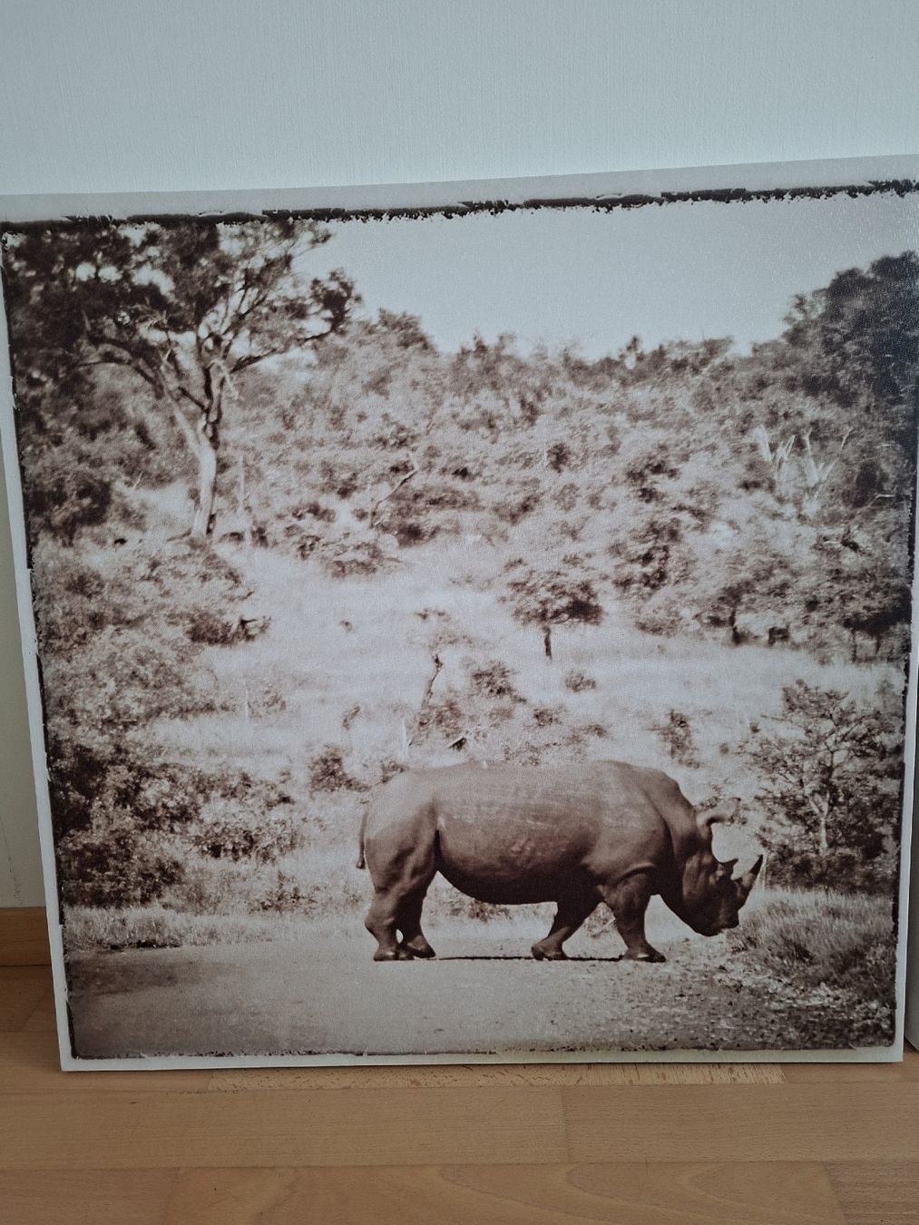 Foto & Immagini: Bilder Reihe Safari – Nuovo (secondo la descrizione) da Meggen venduto da fab_wp67 1
