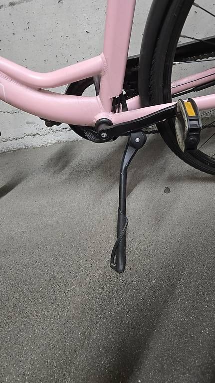 Biciclette: E-Bike Roxy Totem Elektrovelo – Usato da Luzern venduto da sabidu1 3