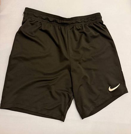 NIKE DRI-FIT SHORTS