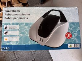 Poolroboter 