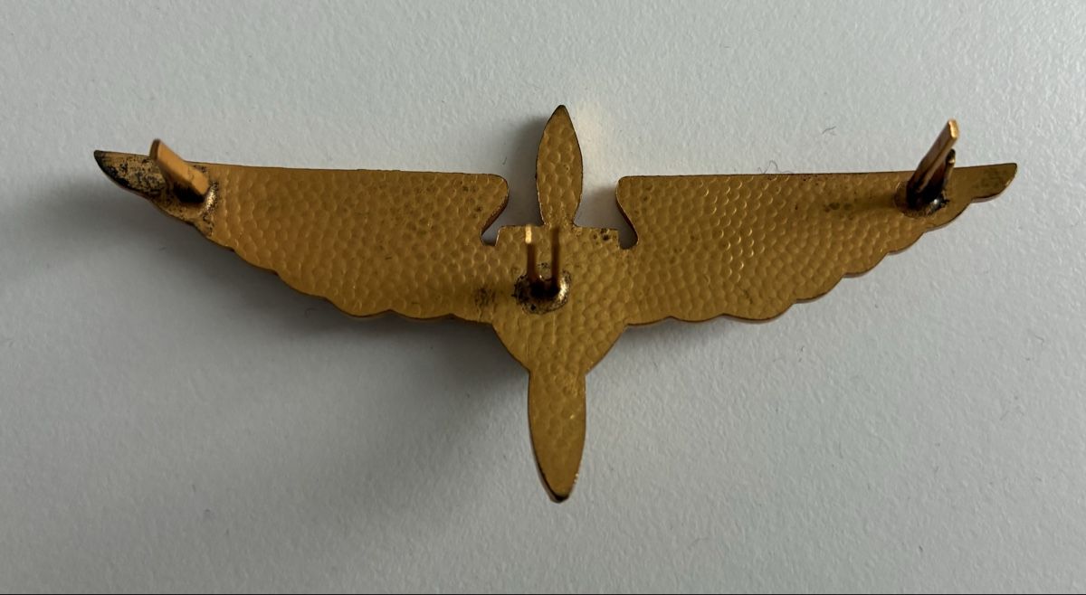 Swissair Placchette & Badge: Swissair Pilot Abzeichen  – Usato da Gutenswil venduto da Antiques77 2