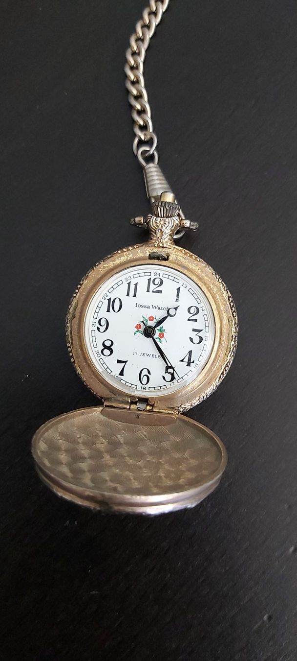 Altri accessori per orologi: Taschenuhr – Usato da Schwarzenbach SG venduto da mel_s6jj
