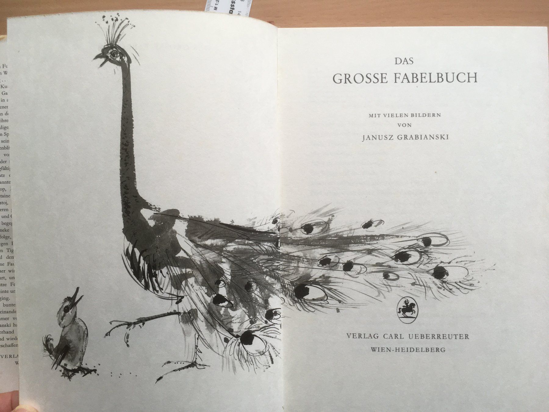 Libri: Das grosse Fabelbuch; verschiedene Autor – Usato da Grenchen venduto da Kogi7 2
