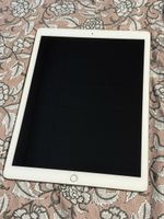 Apple iPad Pro 12.9 Zoll mit Hülle und Ladekabel