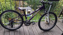 VTT Trek Precaliber 24"