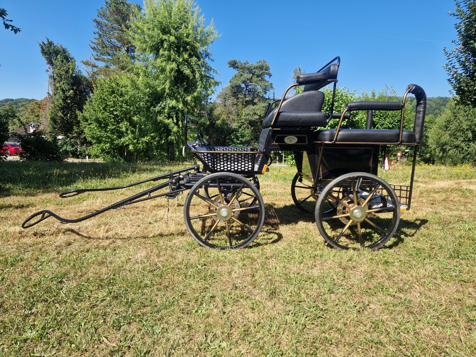 Kutschen: char d'attelage poney shetland – Gebraucht aus Penthaz von Sosotroc 5