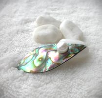 MAGNET BROSCHE  PERLE   PAUA   SCHALHALTER    NEU