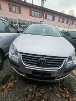 POLO EXPORT