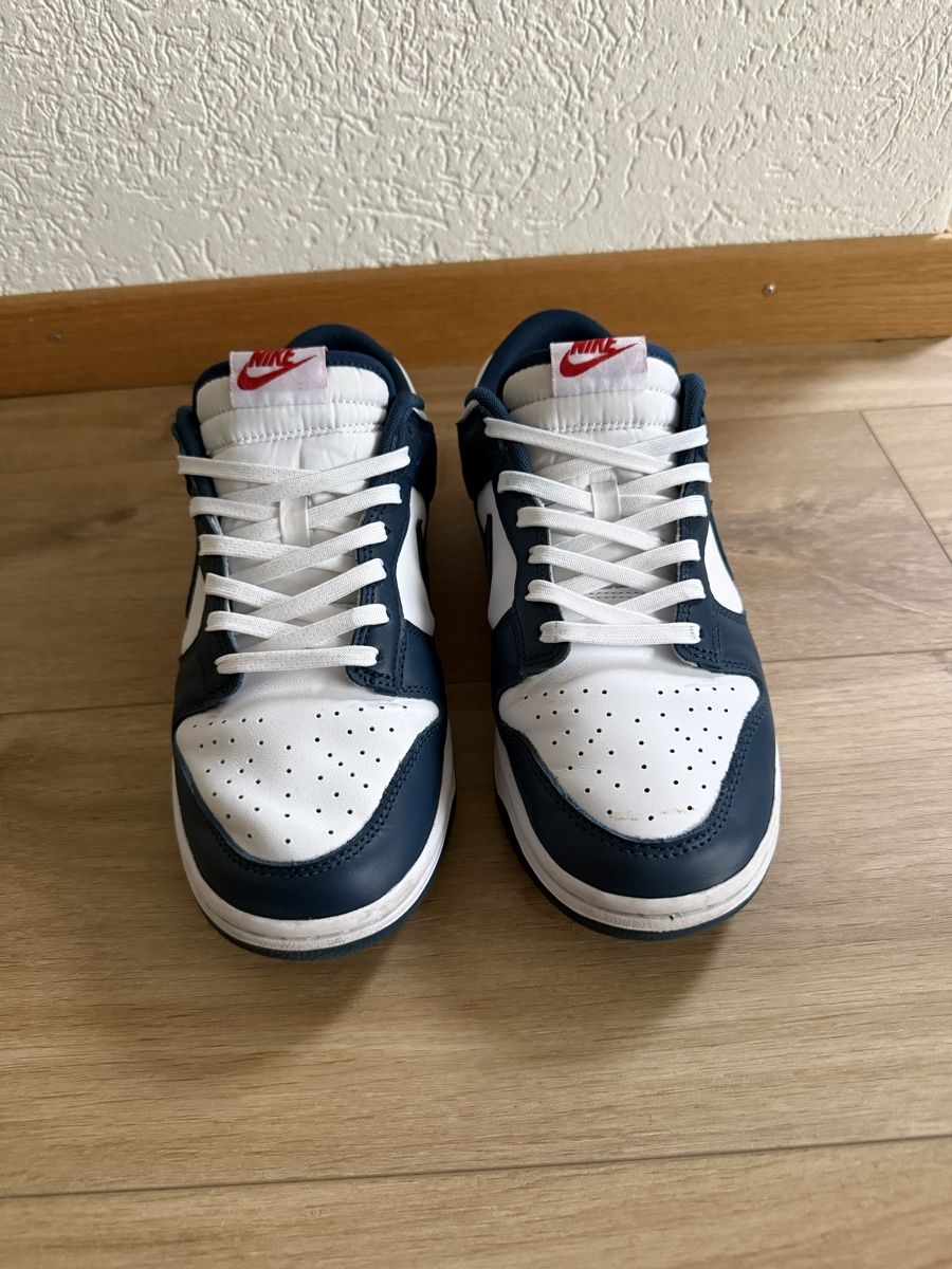 Nike Scarpe da uomo: Nike Dunk Low Retro – Usato da Boppelsen venduto da lev_85hh 1