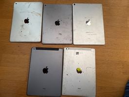 5 Stk Ipad (Bundle / Lot) ungeprüft