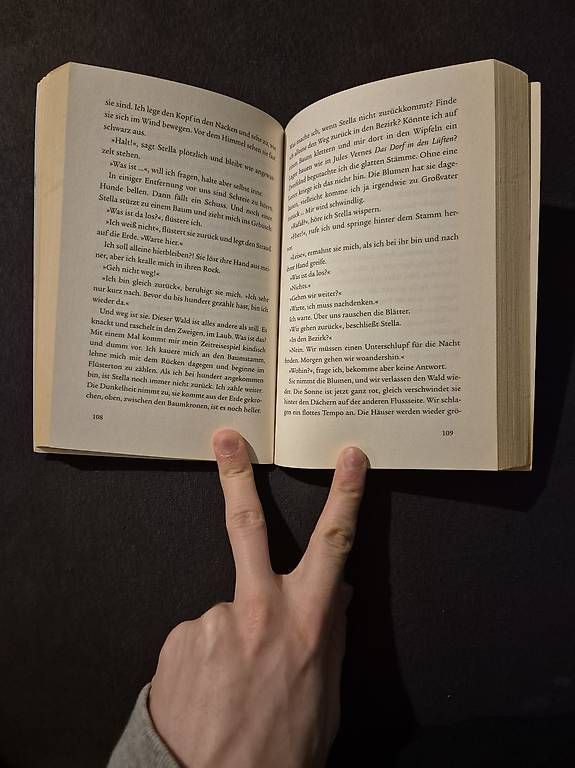 Libri: Flügel Aus Papier – Usato da Nürensdorf venduto da luc_9ksf 3
