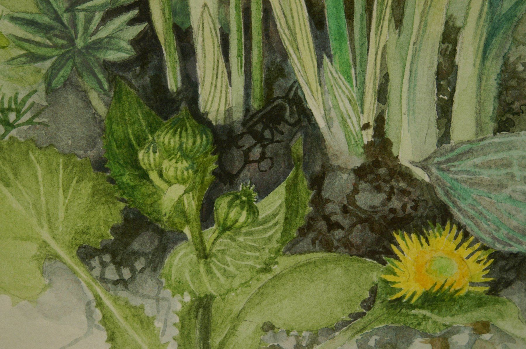 Dipinti: Blumenstilleben Aquarell signiert – Usato da Herisau venduto da Wisen 5