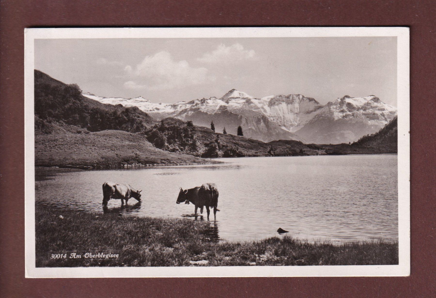 Cartoline postali: Am OBERBLEGISEE - Kühe - 1939 – Usato da Pully venduto da nicecards