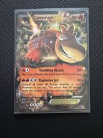  Camerupt ex 29/160 NM EN