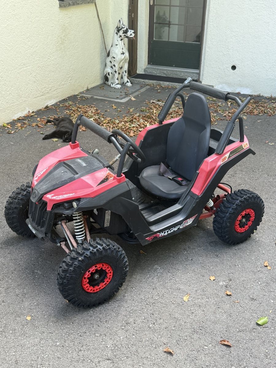 Fahrzeuge für Kinder: Kinder Elektro Buggy Quad 1200W 48B – Defekt aus Winterthur von Pilsnernilpferd