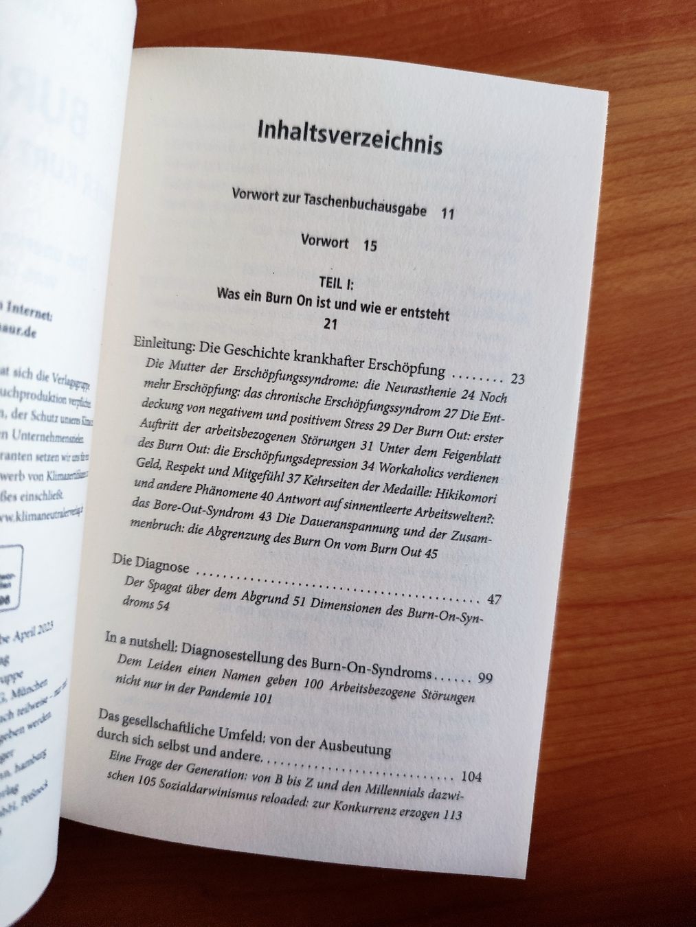 Libri: Burn On von Bert te Wildt Timo Schiele  – Usato da Mägenwil venduto da VintageGirly 7