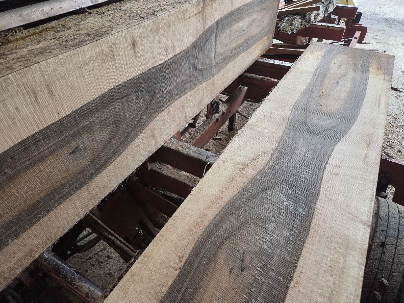 Articoli in legno: Nussbaum, Stamm, Bretter – Nuovo (secondo la descrizione) da Aettenschwil venduto da Betrieb87