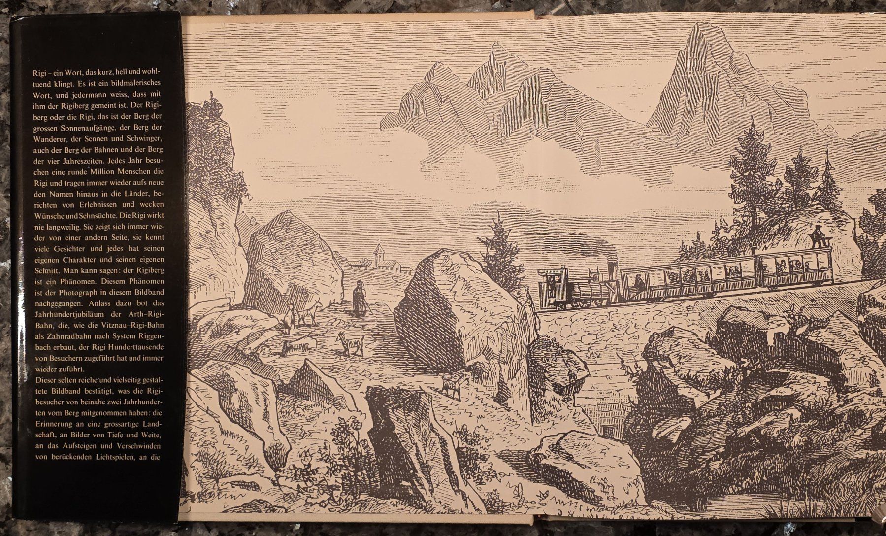 Libri: Jubiläumsbuch 100Jahre Rigi-Bahn – Usato da Filzbach venduto da Cschufi 5