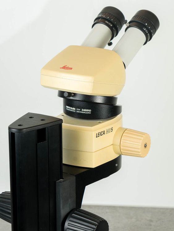 Leica Stereomikroskop MS5 mit 1x + 0.5x Objektiven (Gebraucht) in ...