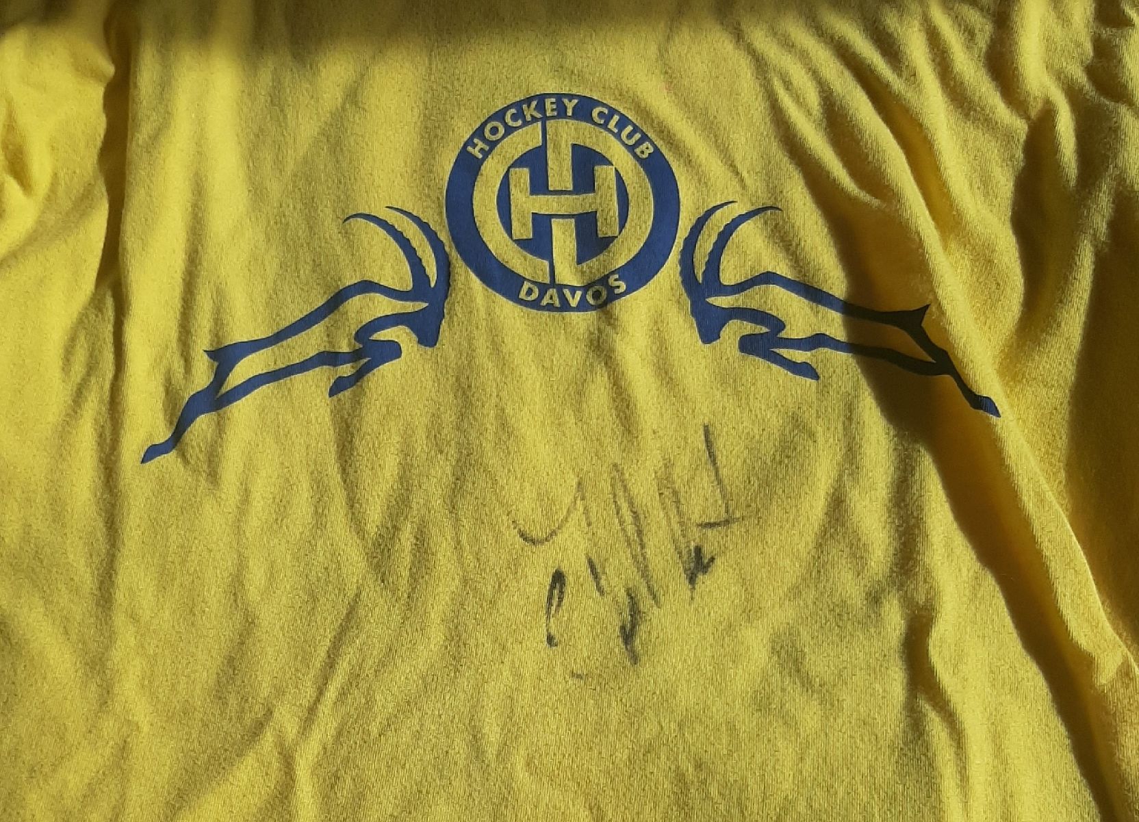 Maglioni & Felpe: HCD Fanartikel – Usato da Rickenbach BL venduto da Oktober68 5